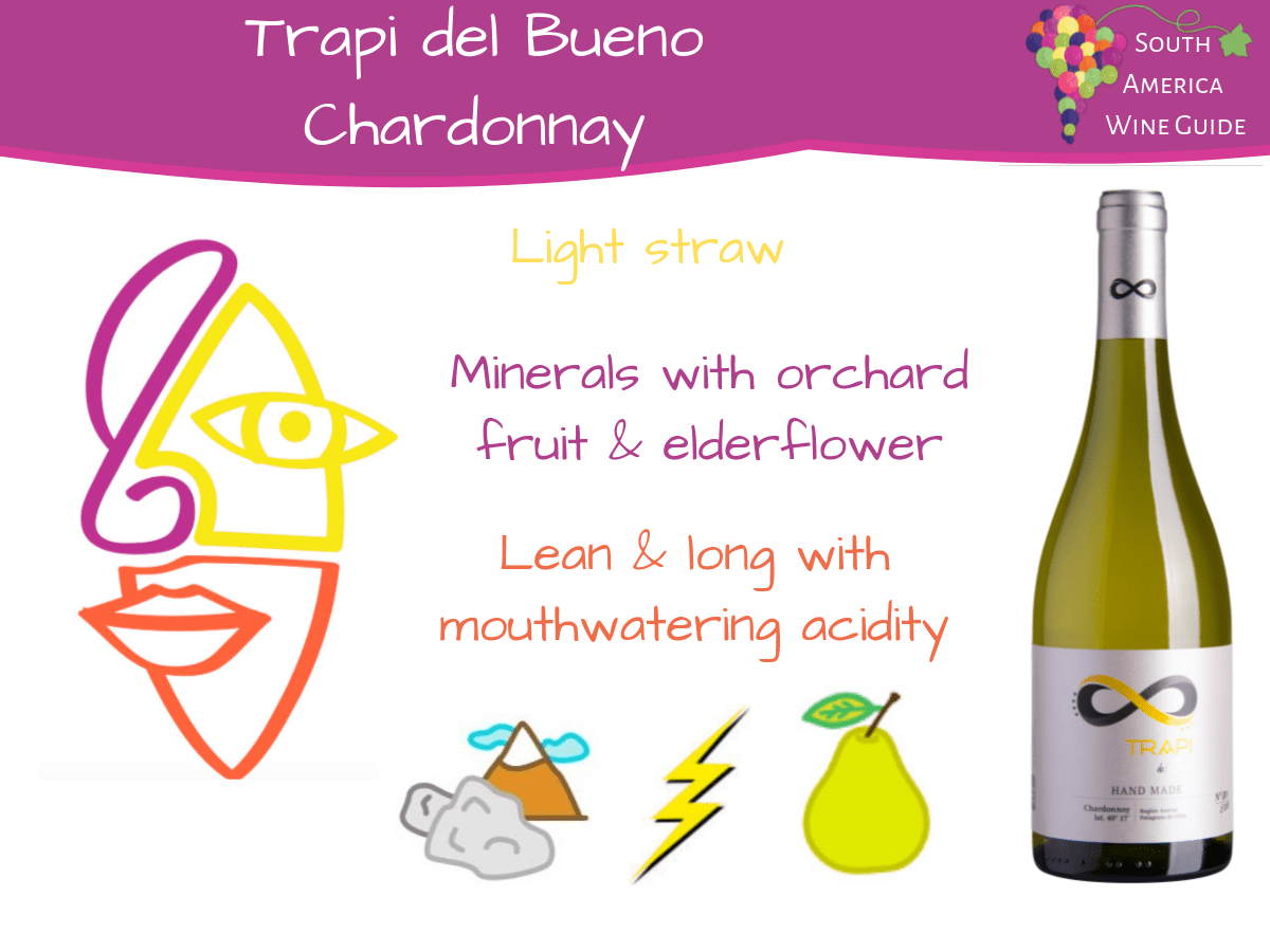 Trapi Chardonnay, tasting notes by Amanda Barnes on Trapi del Bueno in Osorno