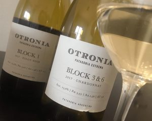 Chardonnay and Pinot Noir from the southernmost vineyard in the world, Otronia in Chubut Argentina. Guide to Latin American wine