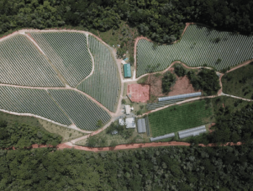 Ferreira winery in Serra da Mantiqueira in Brazil. Guide to wineries and wines of Brazil
