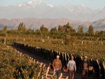 Bodega Familia Furlotti winery in Mendoza. Wineries in Mendoza, South America Wine Guide