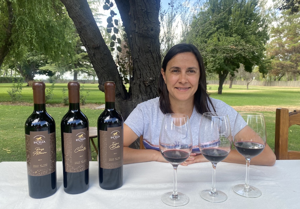 Mendoza winery guide and Argentina Wine Guide. The ultimate guide to wines of Argentina