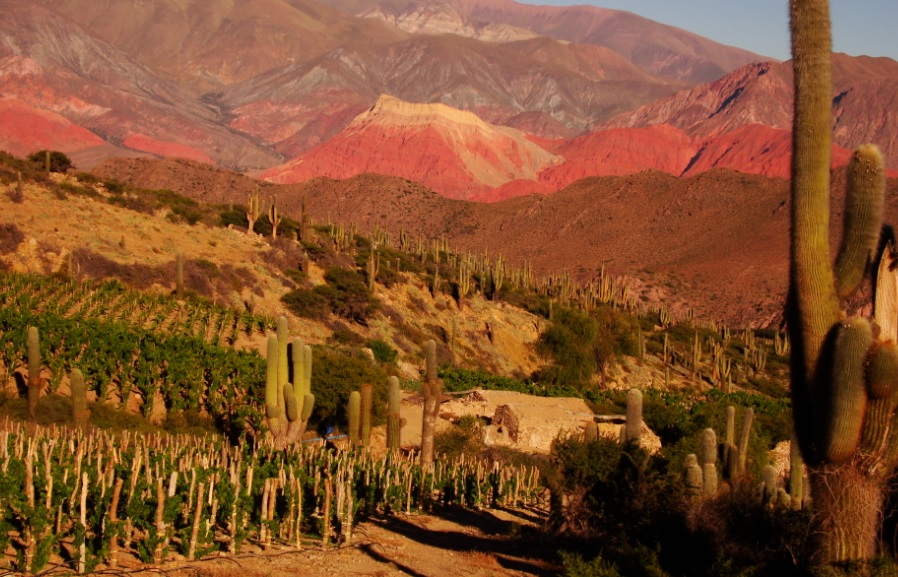 Ayni winery in Jujuy, guide to wineries and vineyards in Argentina and Latin America