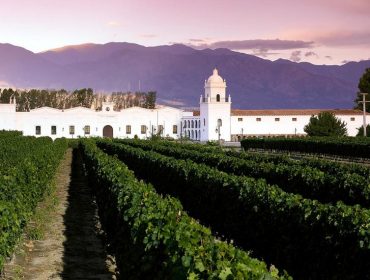 Guide to wineries in Cafayate, Argentina, and Salta. El Esteco and Michel Torino winery