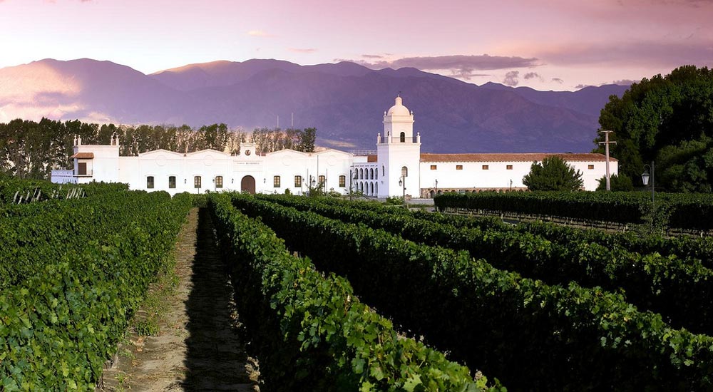 Guide to wineries in Cafayate, Argentina, and Salta. El Esteco and Michel Torino winery