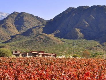Miraluna winery and vineyards in Argentina. Guide to wineries in Cachi, Salta