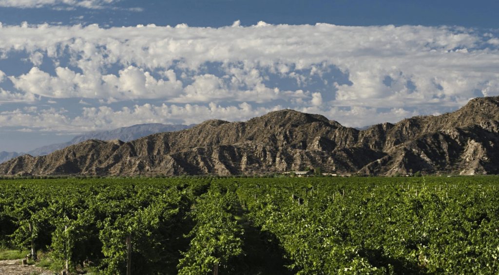 La Rioja wine region guide for Argentina, Guide to South American wines. Famatina valley.