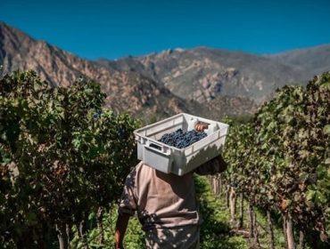 Bodega Amalaya winery is owned by Swiss multimillionaire Donald Hess.