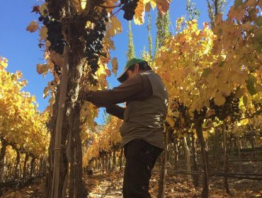 Bodega Fernando Dupont winery and vineyards in the Quebrada de Humahuaca wine region of Jujuy