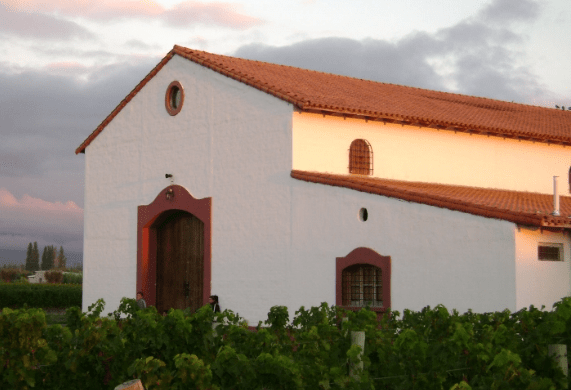 Viñedo Chadwick wine & winery in Chile - South America Wine Guide