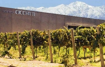 Bodega Cicchitti winery in Maipú Mendoza. Guide to wineries in Mendoza
