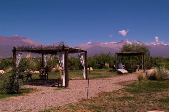 Viñedo Chadwick wine & winery in Chile - South America Wine Guide