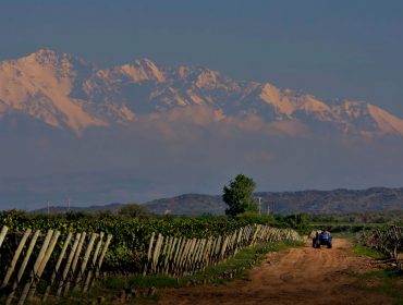 Masi winery in Tupungato, Uco Valley, Mendoza, Argentina. A guide to wineries in Mendoza and Argentina. South America Wine Guide
