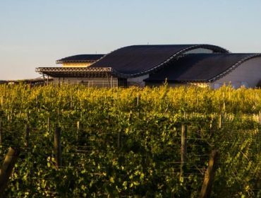 Bodega Patritti winery in San Patricio del Chañar in Neuquen, Patagonia, Argentina. Guide to wineries in Argentina. Latin American wine guide