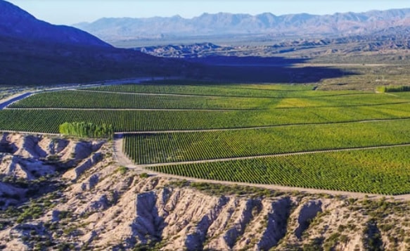 Pyros winery and vineyards in the Pedernal Valley in San Juan Argentina.