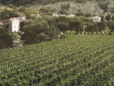 Bodega Renaissance winery in Lujan de Cuyo.