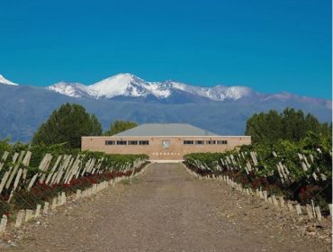 Finca Sophenia winery and vineyards in Gualtallary in the Uco Valley, Mendoza, Argentina. Guide to wineries in Latin America