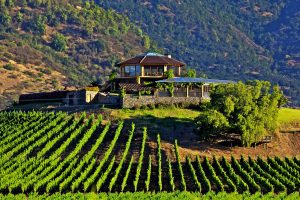Winery restaurants in Colchagua, where to eat in Colchagua valley and wine region