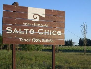 Bodega Salto Chico winery.