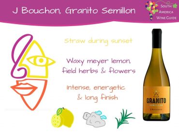 Granito Semillon from Bouchon Family Wines, wine tasting note