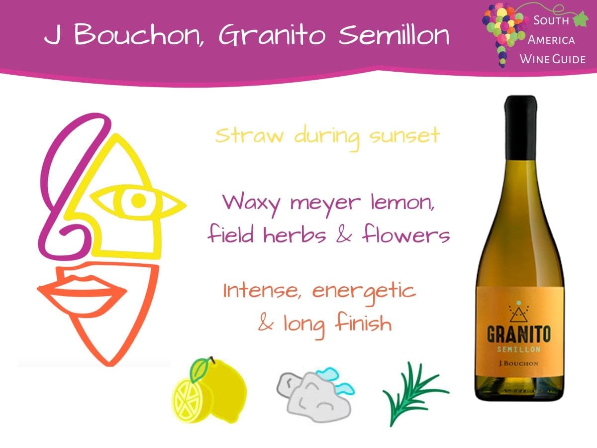 Granito Semillon from Bouchon Family Wines, wine tasting note
