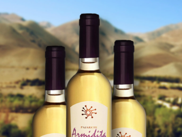 Armidita winery and pajarete wines in Atacama Desert in Chile