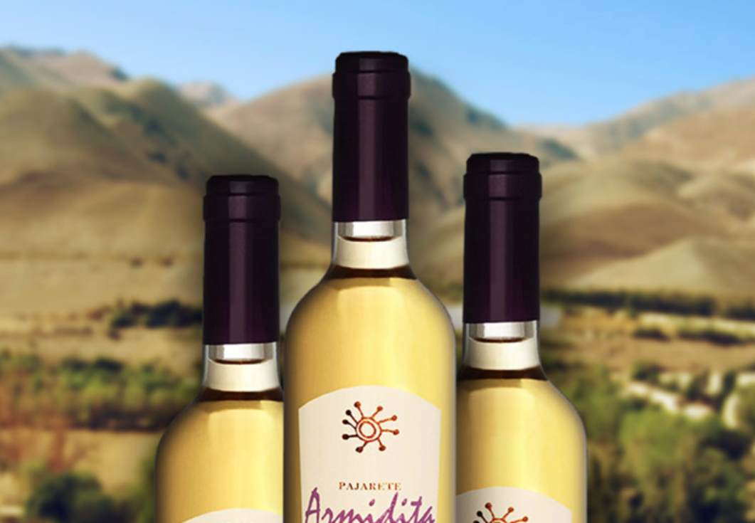 Armidita winery and pajarete wines in Atacama Desert in Chile