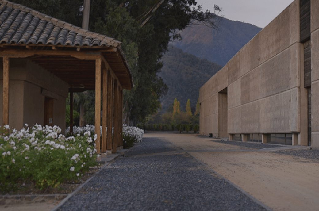 Neyen winery and wines in Apalta, Colchagua. Guide to Chilean wine and Latin American wine guide