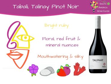 Talinay Pinot Noir Viña Tabalí. Guide to wines from Limari and the best wines in Chile