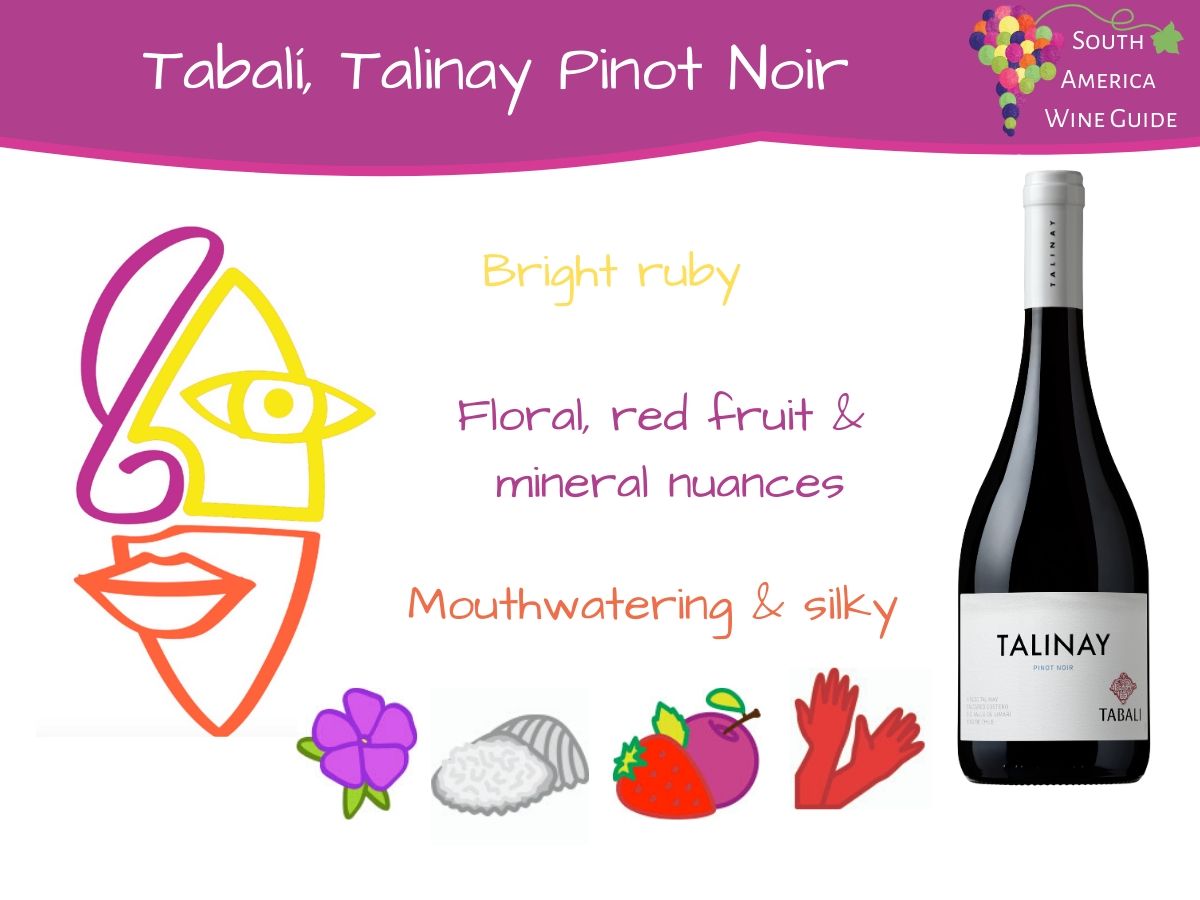 Talinay Pinot Noir Viña Tabalí. Guide to wines from Limari and the best wines in Chile