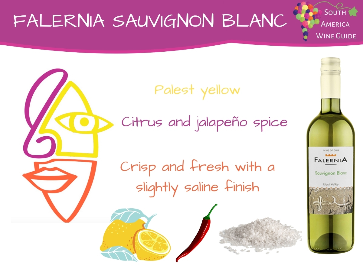 Falernia Sauvignon Blanc, wine tasting note
