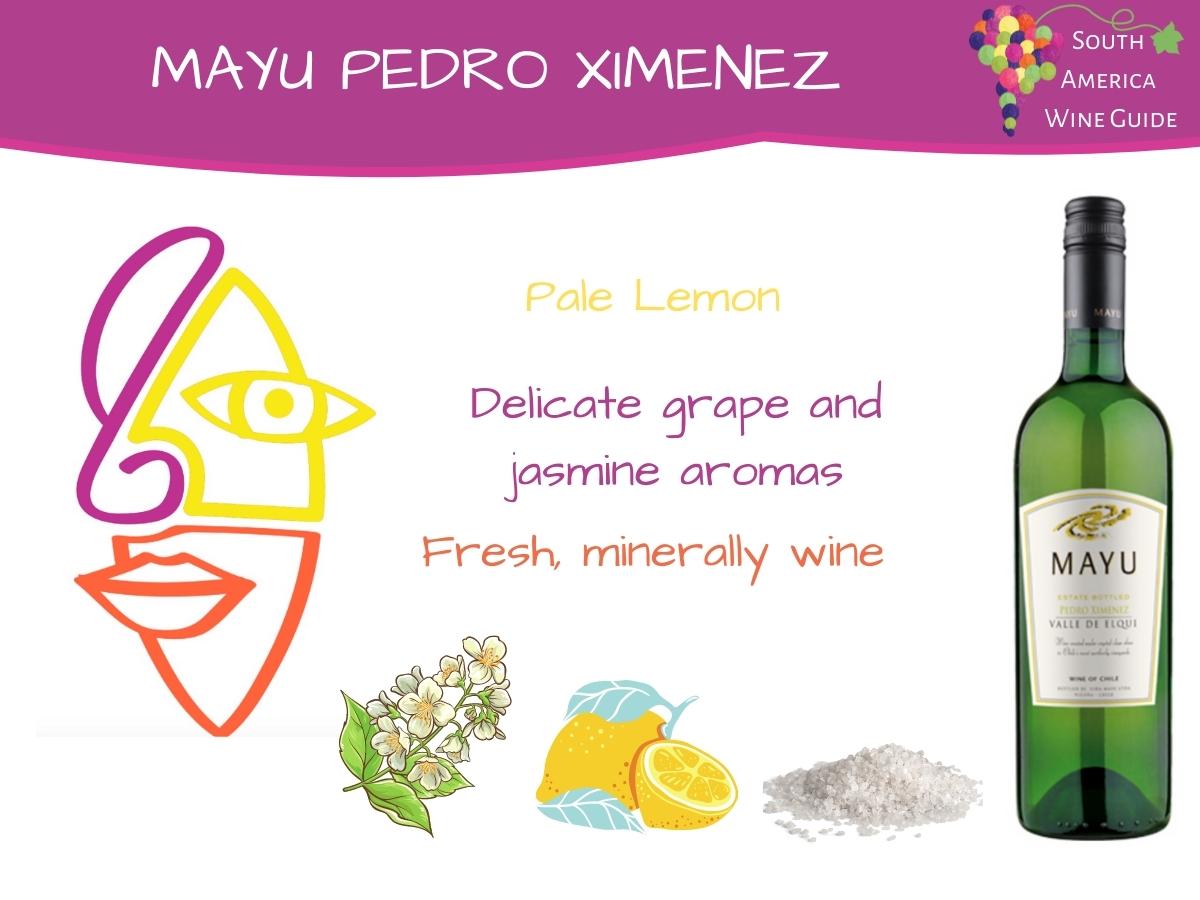 Tasting note for Mayu Pedro Ximenez. Viña Mayu in Elqui, Chile