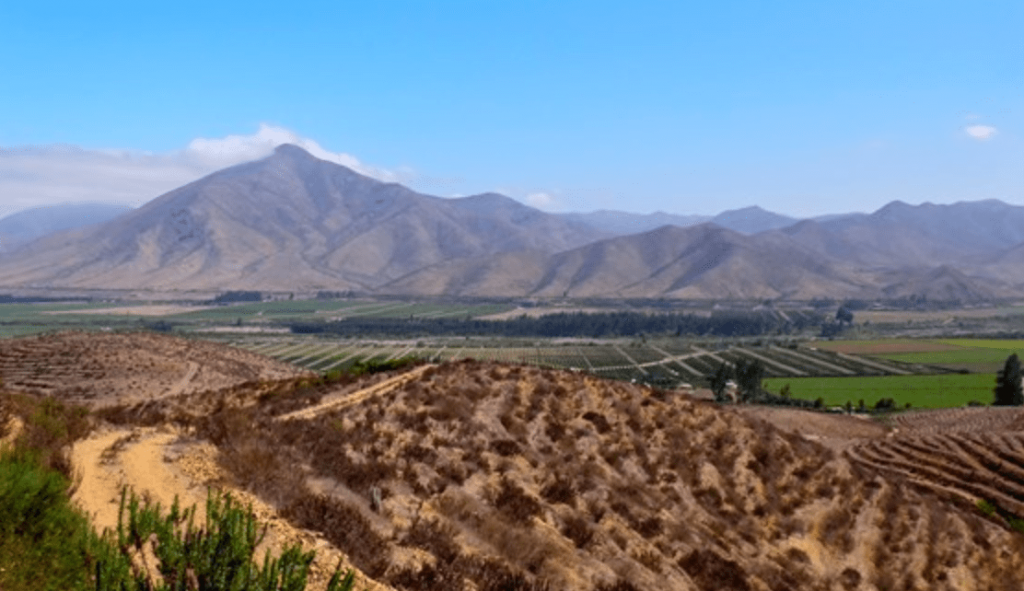 Mayu winery in Elqui Valley