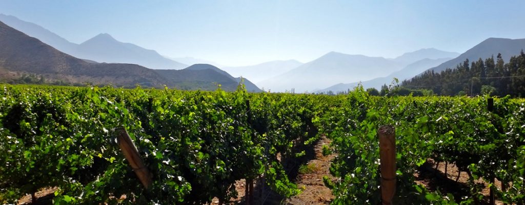 Viña Mayu winery in Elqui Valley