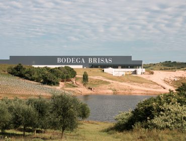 Bodega Brisas in Maldonado Uruguay. Guide to wineries in Maldonado, wines of Uruguay and Latin American wine guide