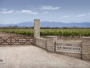 La Mascota wines, Unánime, Opi, Mascota Vineyards in Mendoza., guide to wineries in Mendoza and argetina