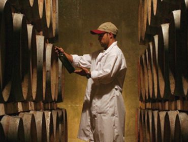 Grupo Peñaflor wineries in Argentina