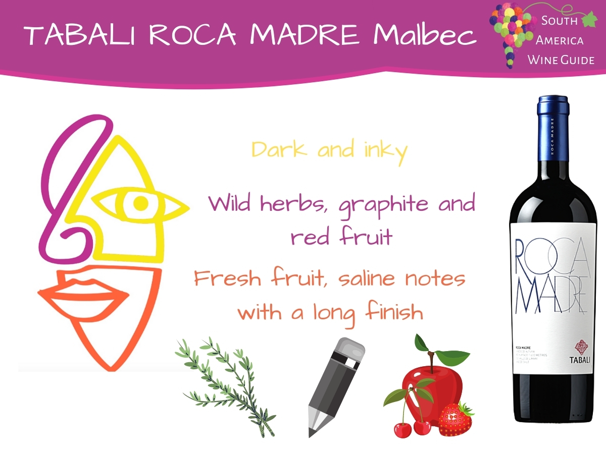 Tabali Roca Madre Malbec, wine tasting note