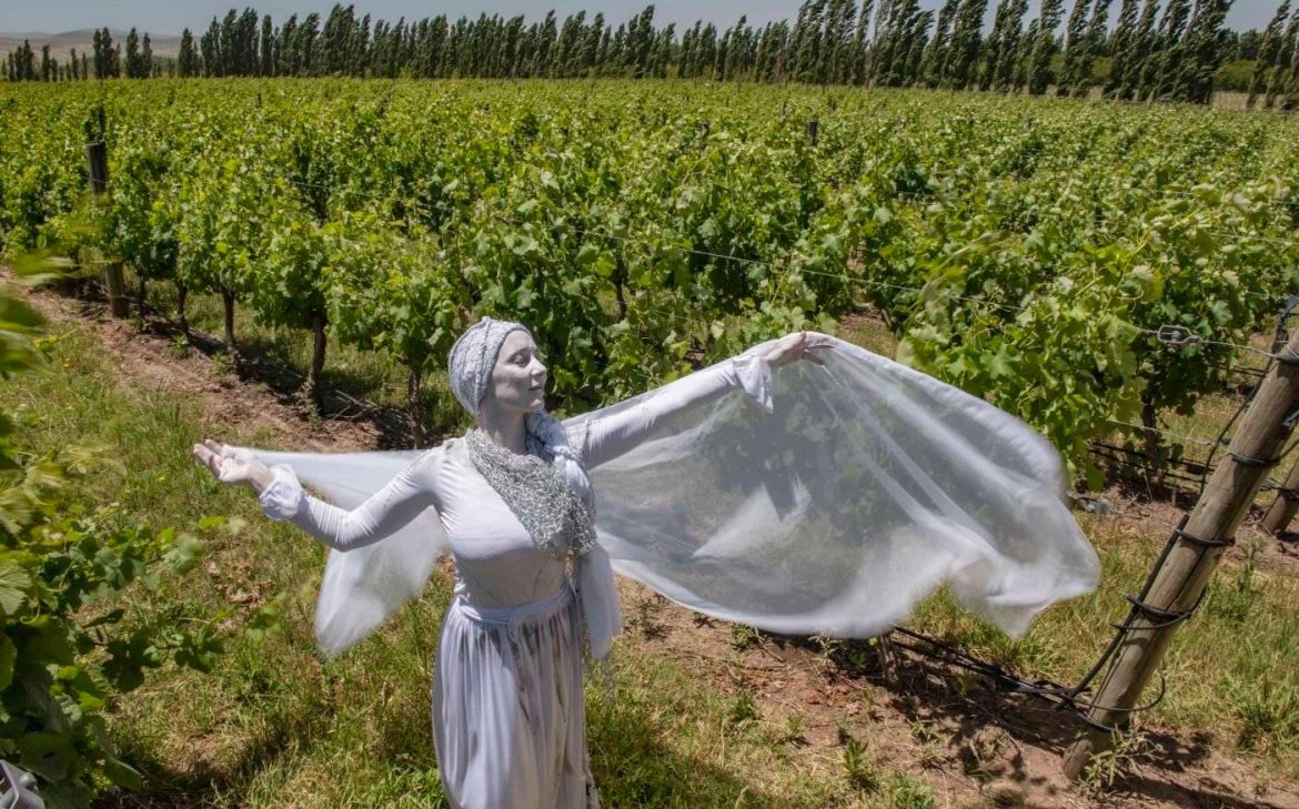 Bodega Saldungaray winery and vineyards in Sierra de la Ventana, Buenos Aires province.