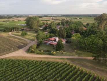 Familia Deicas winery in Juanico in Uruguay