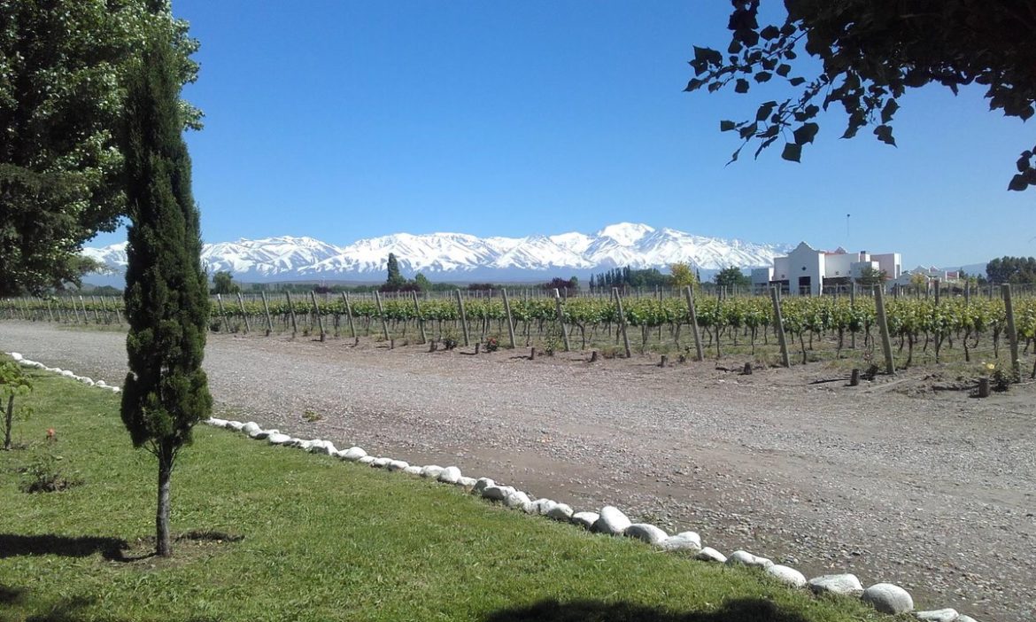 Finca Ambrosia winery and vineyard in Gualtallary