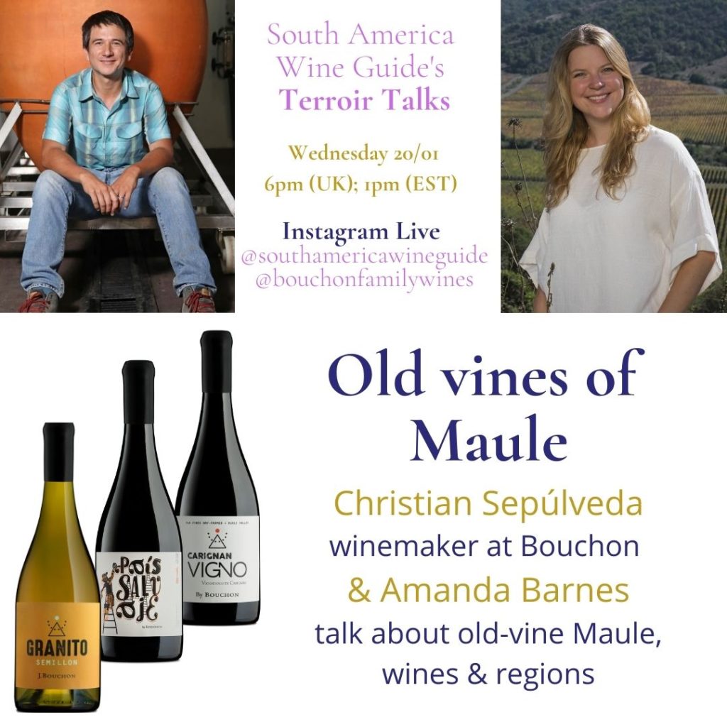 Maule terroir talk with winemaker Christian Sepúlveda of Bouchon Family Wines, Terroir Talk with Amanda Barnes