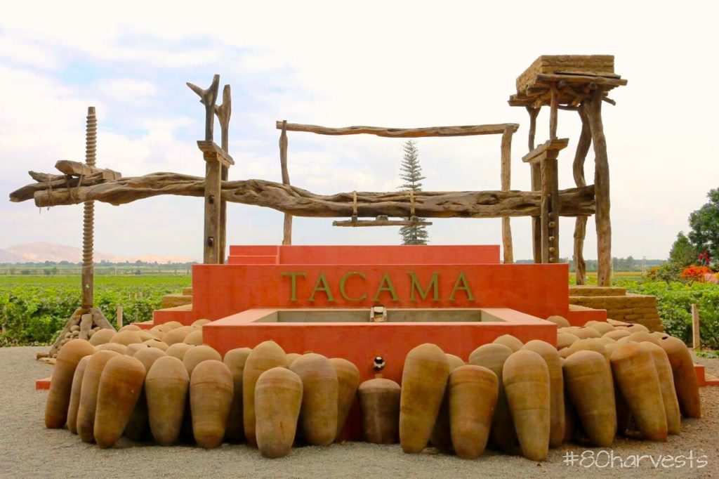botijas tinajas in Peru, guide to South American wine terms and glossary
