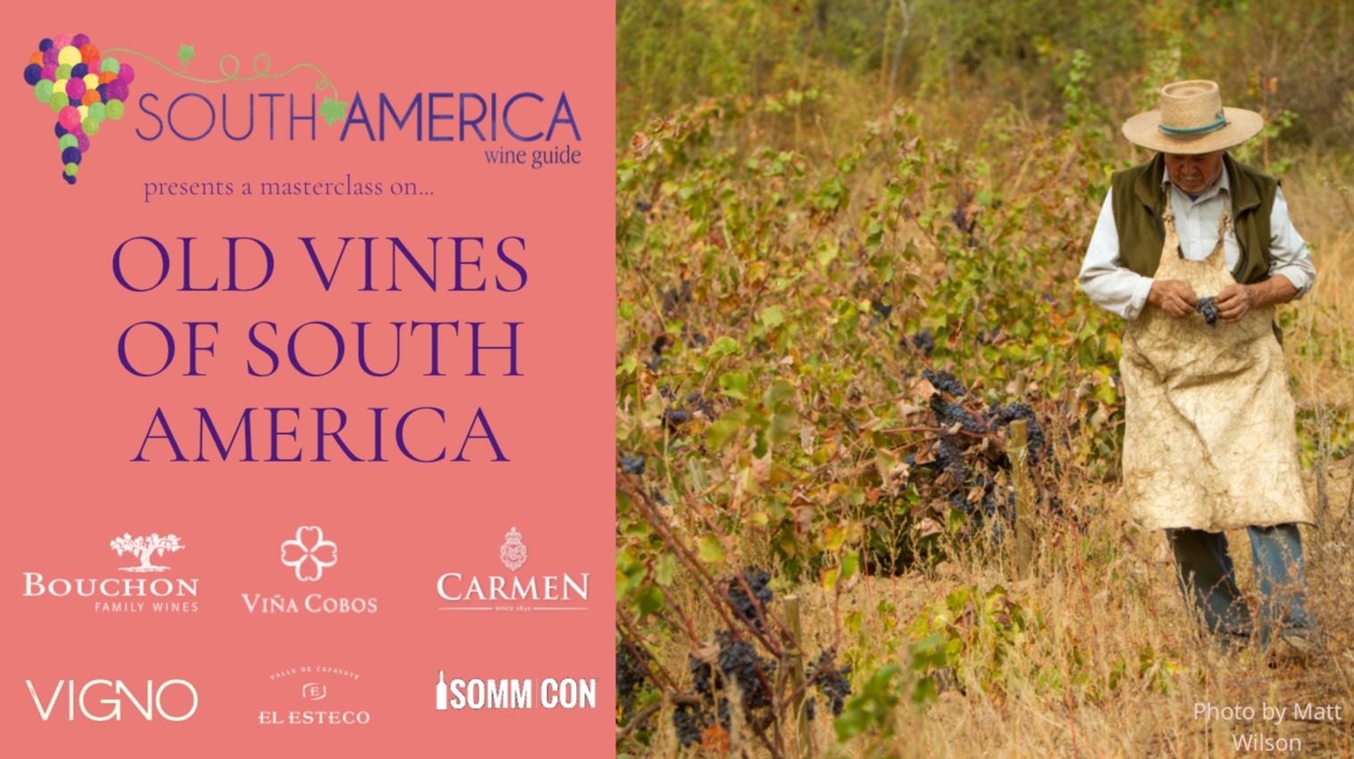 Masterclass on the old vines of South America