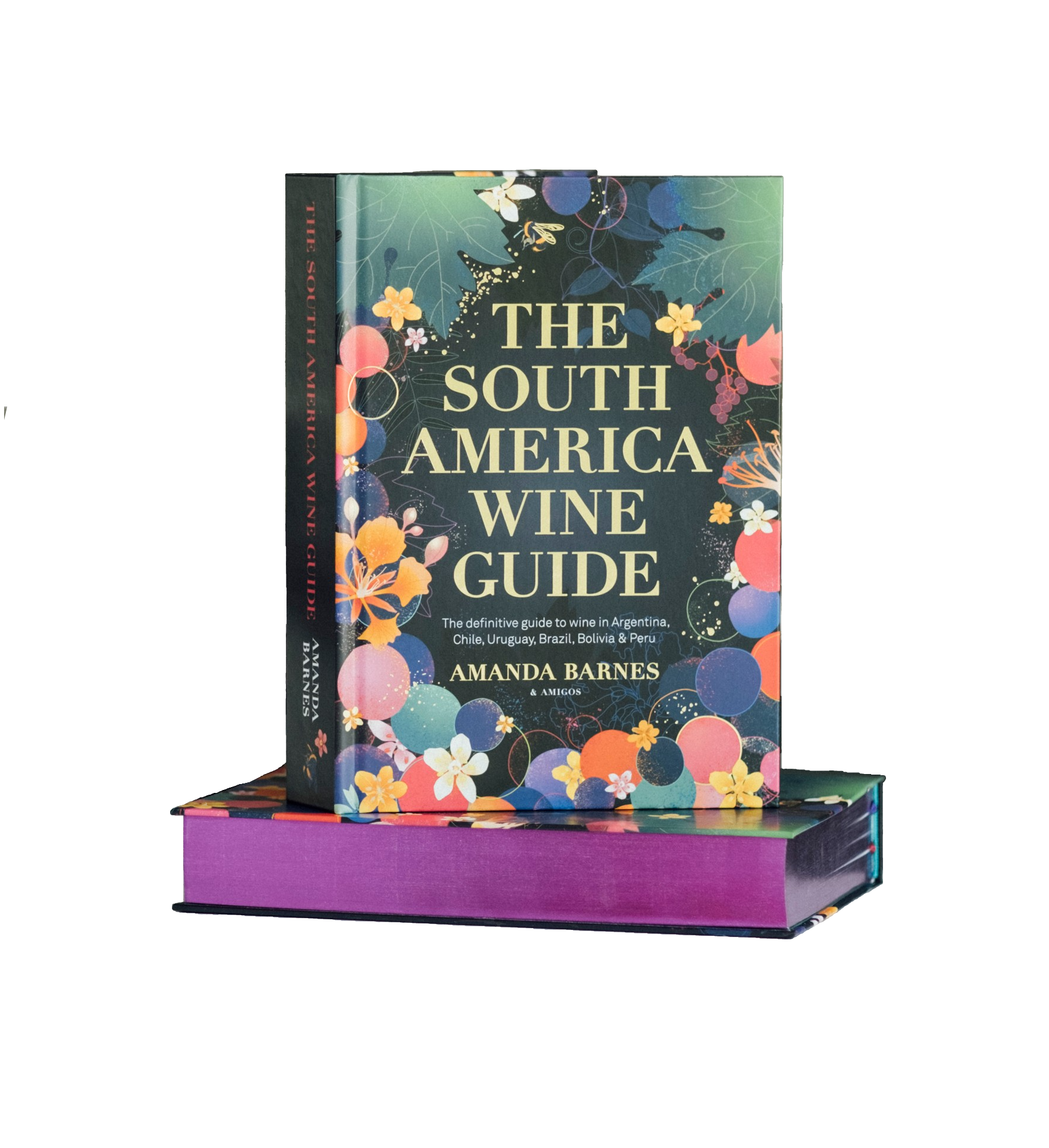 Buy the South America Wine Guide book by Amanda Barnes