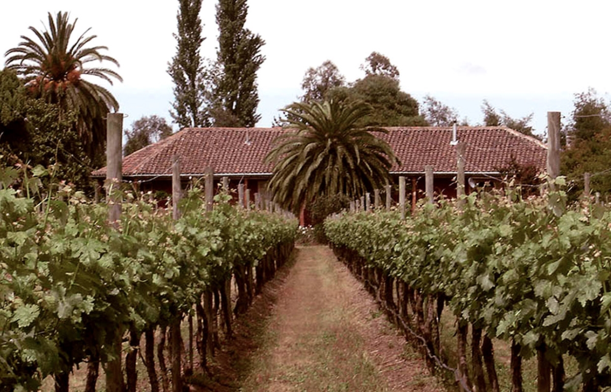 Casas Patronales winery in Maule, guide to wineries in Chile. Chilean wine guide