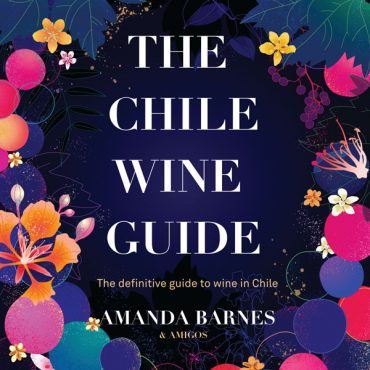 chile wine guide