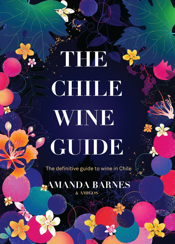 chile wine guide