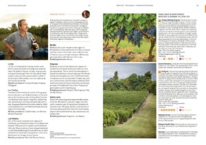 The Uruguay Wine Guide by Amanda Barnes: Essential guide to the wines of Uruguay and Tannat report. Guide to best wines and wineries in Uruguay