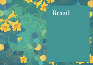 The Brazil Wine Guide e-book by Amanda Barnes