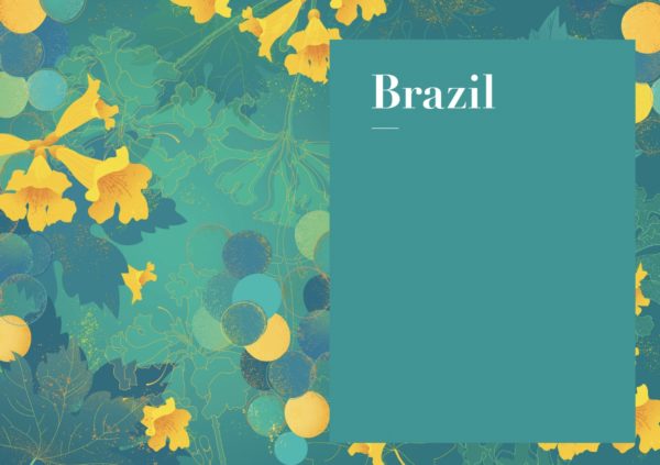 The Brazil Wine Guide e-book by Amanda Barnes